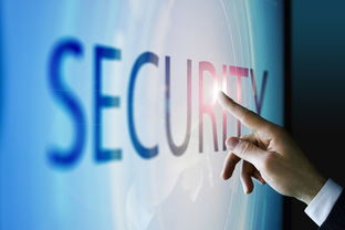 國際貿易與電子商務 區(qū)別、聯(lián)系與融合