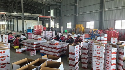 農(nóng)產(chǎn)品與電商深度融合 賦能鄉(xiāng)村振興——陜能院學子調(diào)研云陽站電商扶貧基地